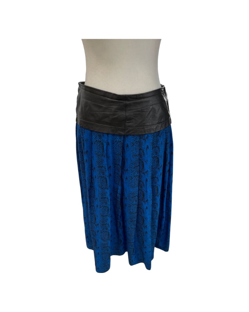Blues Paris Mode Vintage Skirt and Top