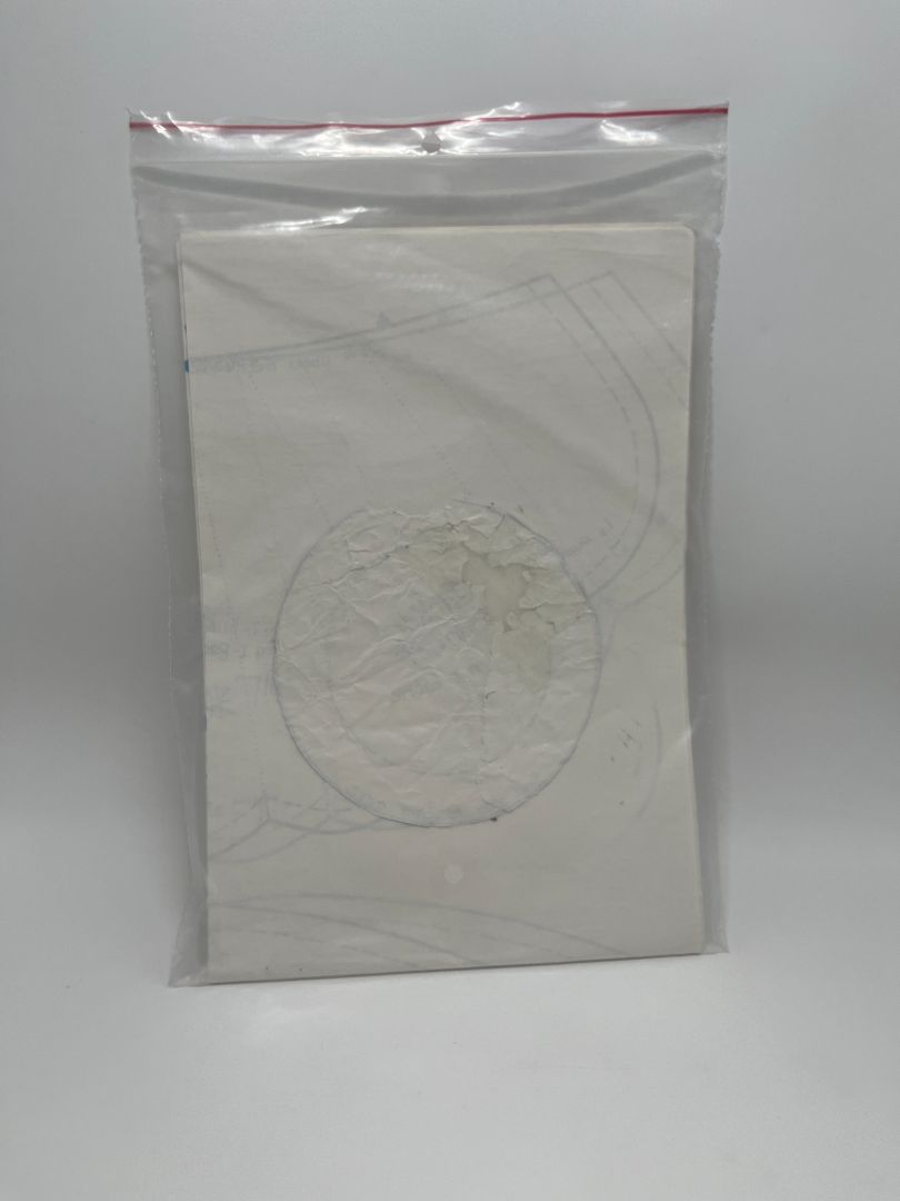 Vintage Patch Press 373B Festive Turkey Napkin Holder Sewing Pattern