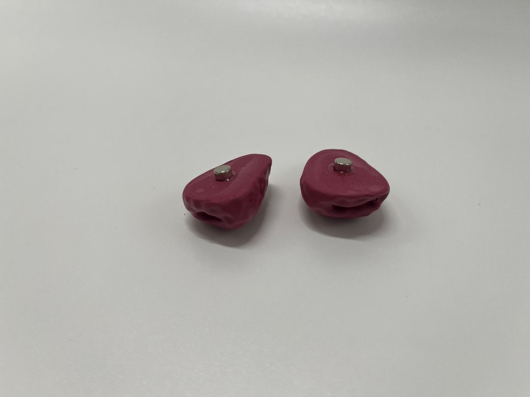 Red Raspberry 2 pcs Clay Magnets | Handmade