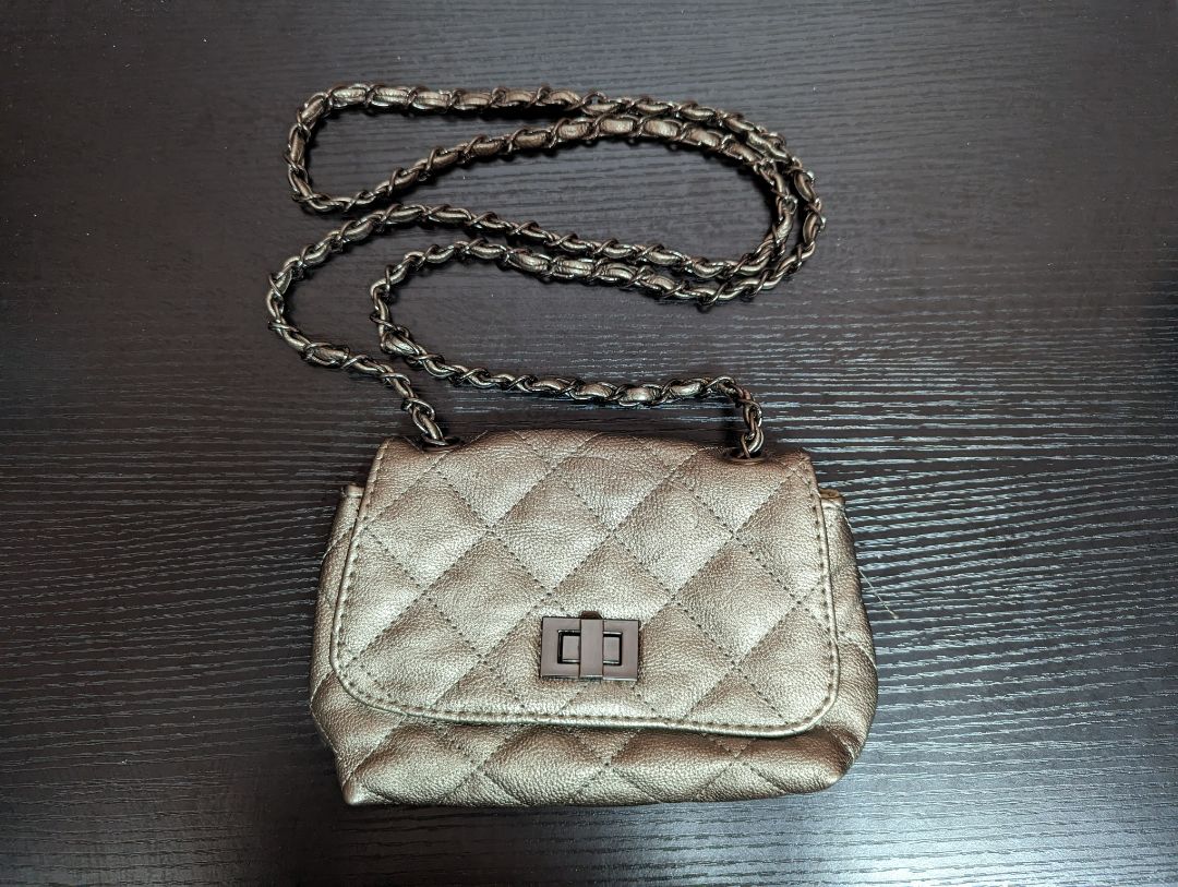 Steve Madden Silver Mini Crossbody with Chain