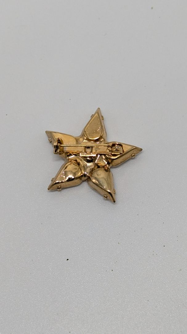Gold/White Vintage Star Brooch Pin
