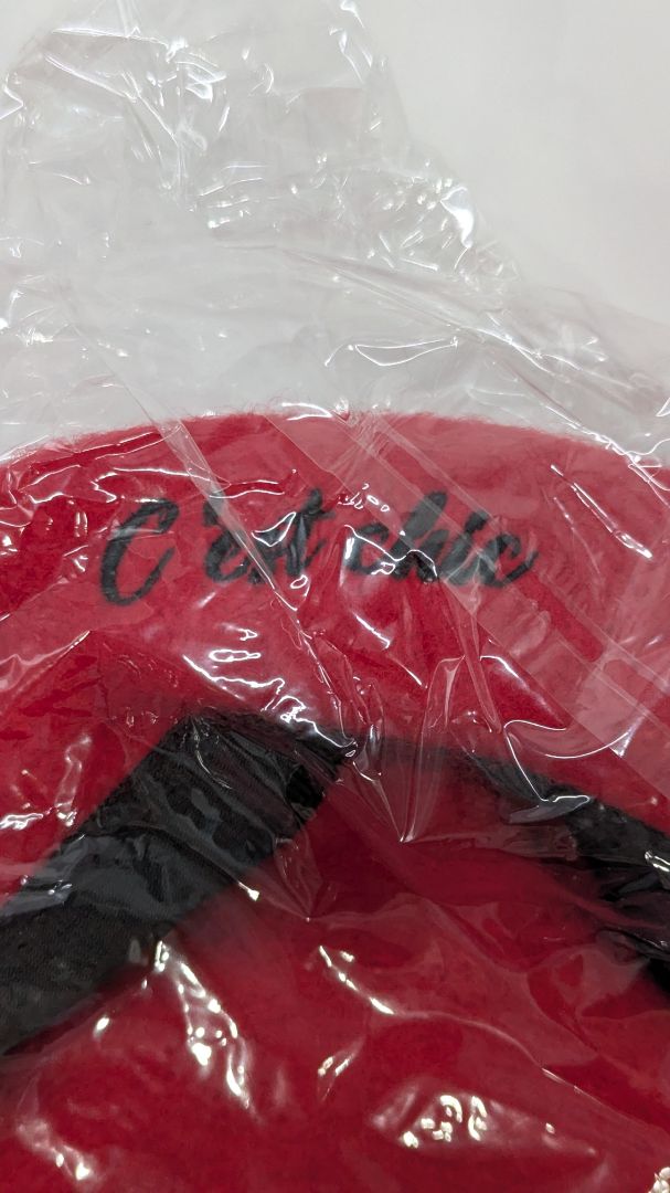 DIFF x Emily in Paris Red "C'est Chic" Beret Hat