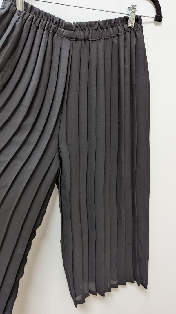 The Limited Black Sheer Wide-Leg Pleated Pants