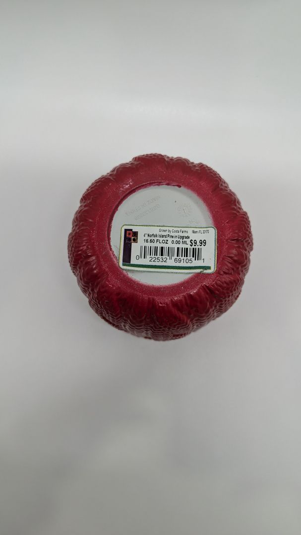 Norfolk Island Red Faux-Crochet Organizer Pot