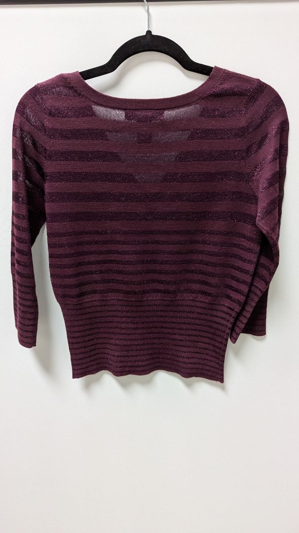 Express Dark Purple Shimmer Striped Sweater