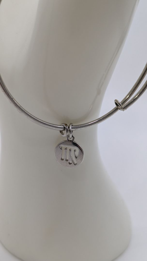 Silver-Tone Metal Sliding-Adjustable Zodiac Virgo Charm Bracelet