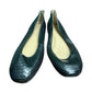 Ann Taylor Black Faux Snakeskin Flats