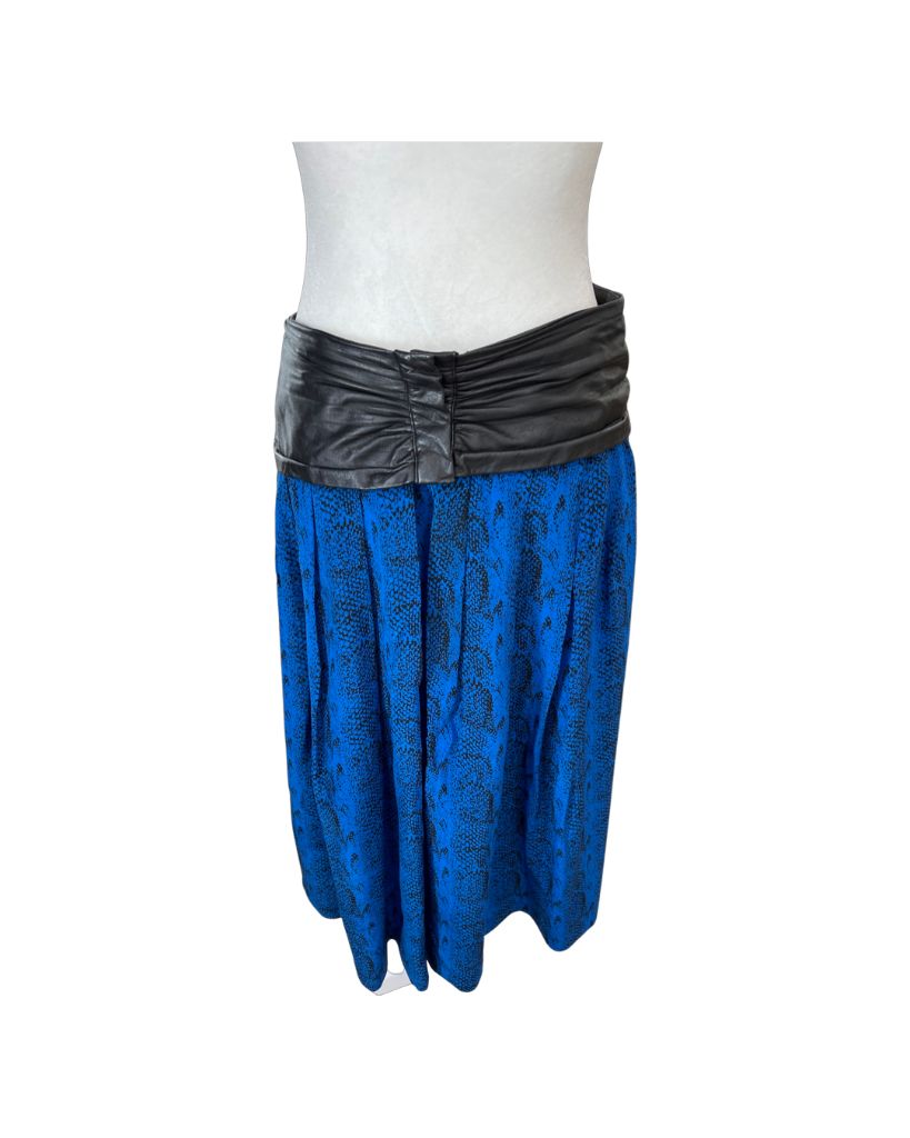Blues Paris Mode Vintage Skirt and Top