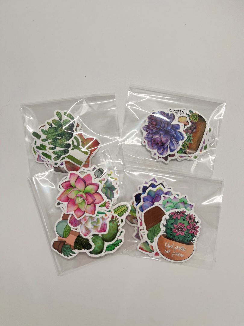 Watercolor Succulent 12ct Misc. Sticker Pack