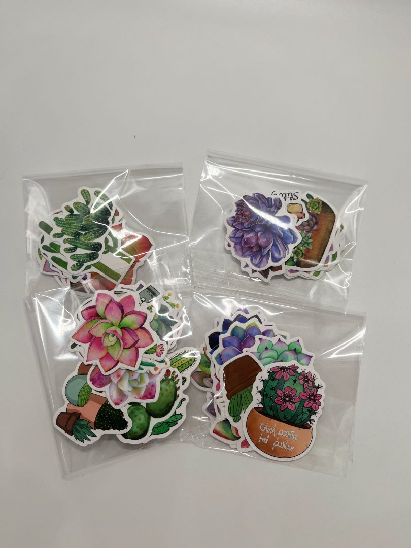 Watercolor Succulent 12ct Misc. Sticker Pack