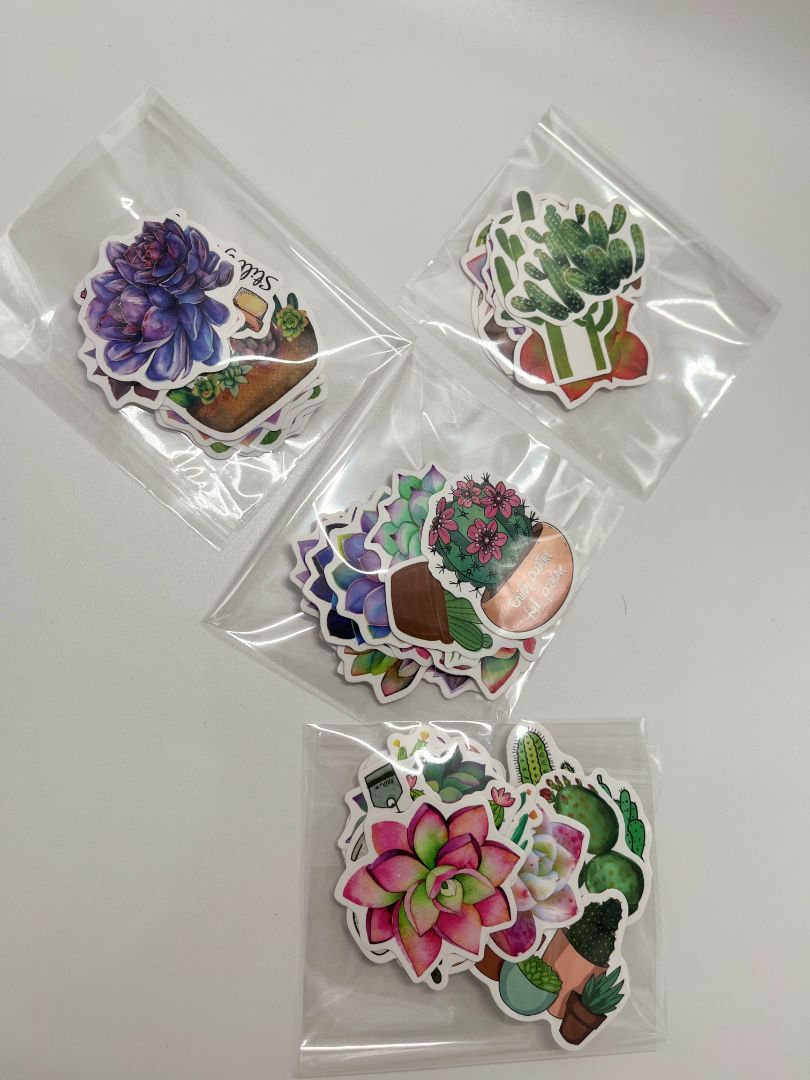 Watercolor Succulent 12ct Misc. Sticker Pack