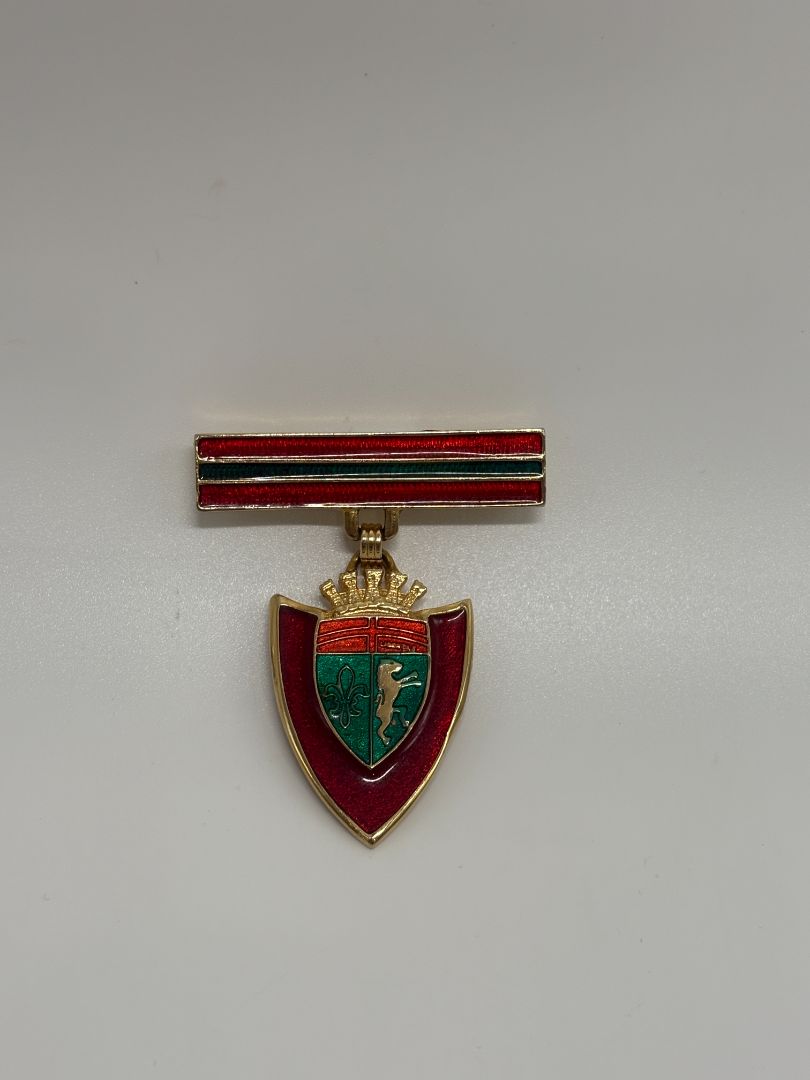 Red/Green Vintage Mid-Century 1950s/1960s Heraldic Crest Shield Enamel Brooch Pin