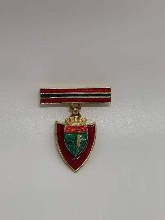 Red/Green Vintage Mid-Century 1950s/1960s Heraldic Crest Shield Enamel Brooch Pin