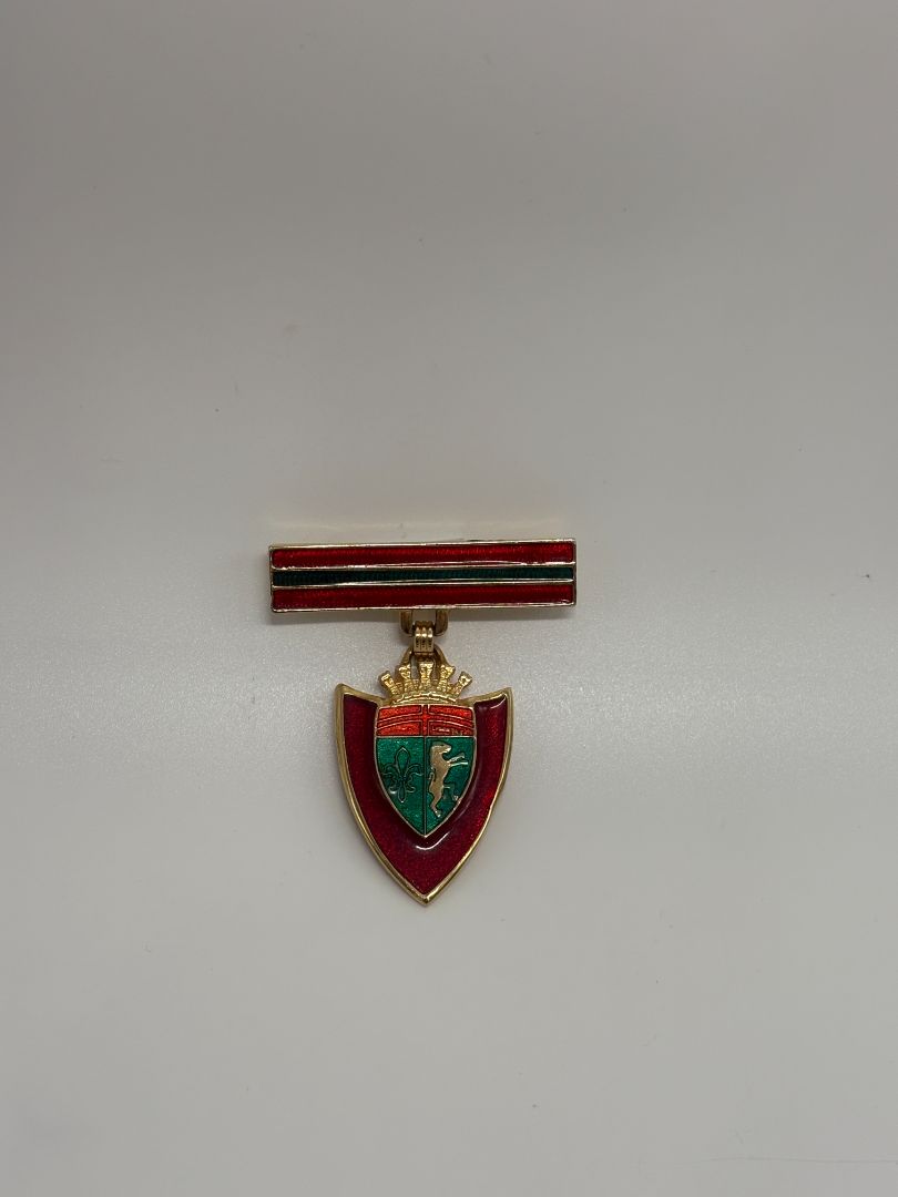 Red/Green Vintage Mid-Century 1950s/1960s Heraldic Crest Shield Enamel Brooch Pin