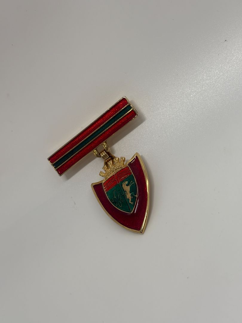 Red/Green Vintage Mid-Century 1950s/1960s Heraldic Crest Shield Enamel Brooch Pin