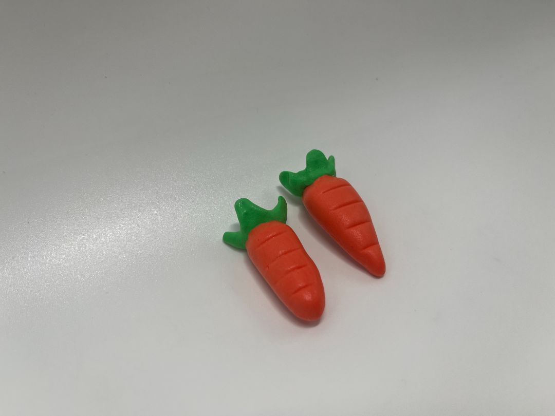 Carrot 2pcs Clay Magnets | Handmade