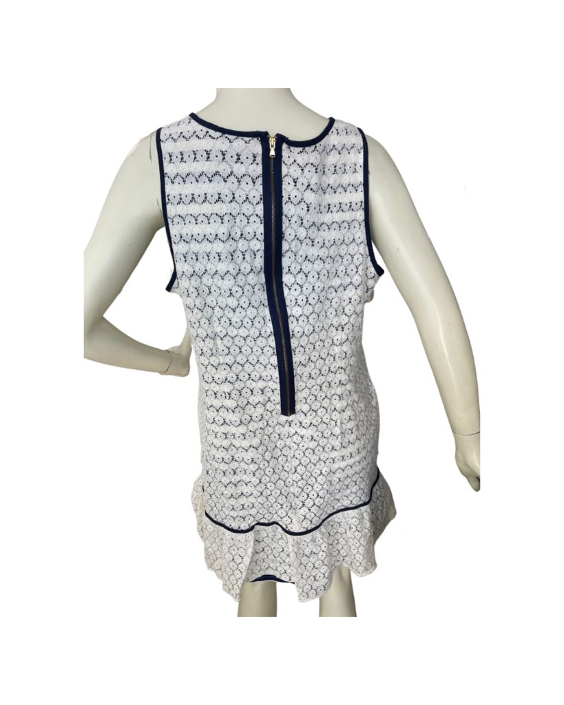 J. Taylor Ivory and Blue Striped Lace Sleeveless Dress