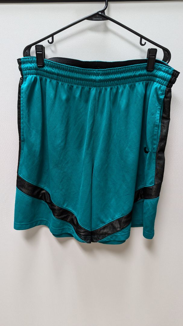 Nike Dri-Fit Teal/Black Active Shorts