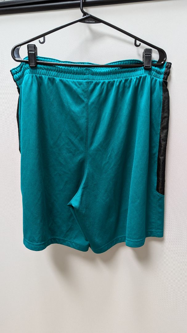 Nike Dri-Fit Teal/Black Active Shorts