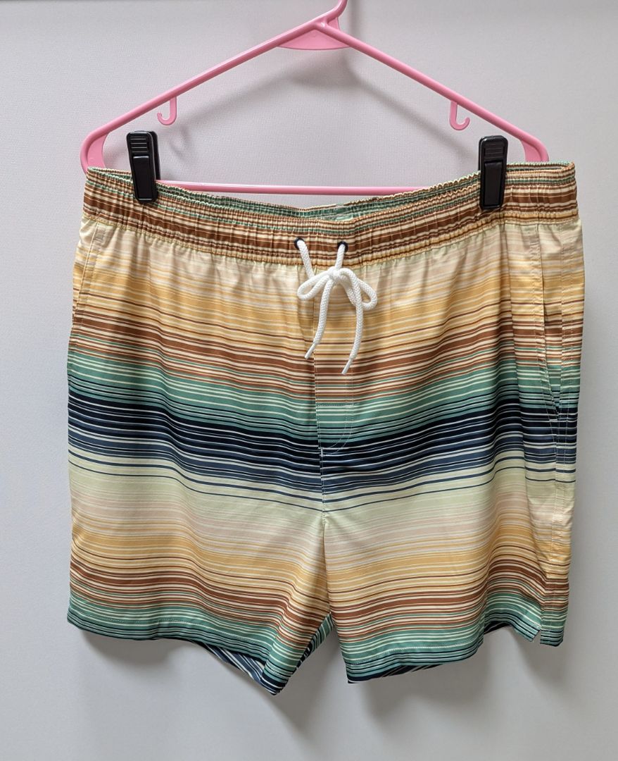 MeUndies Multicolor Striped Lined Swim Shorts