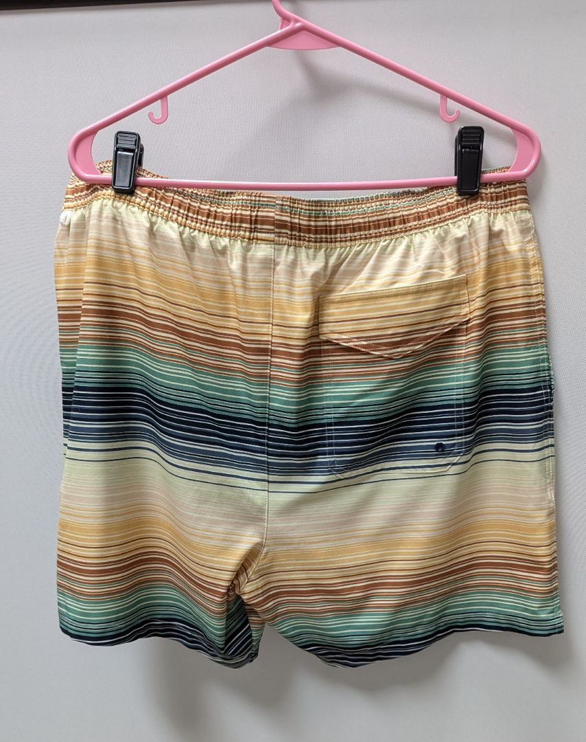 MeUndies Multicolor Striped Lined Swim Shorts