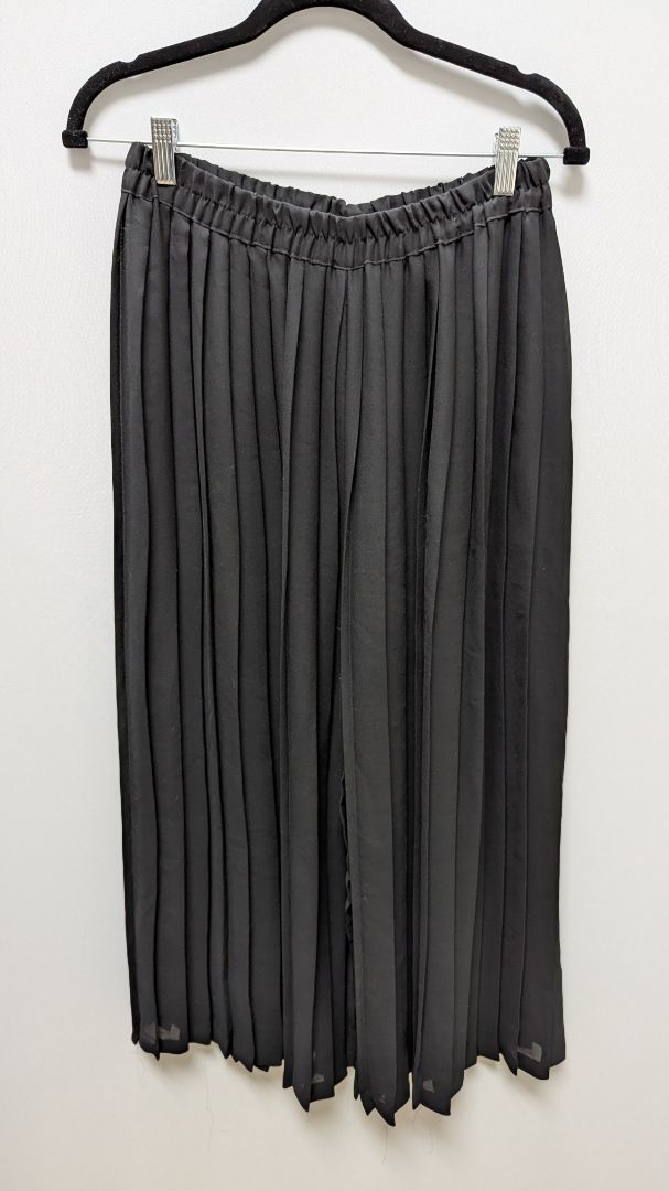 The Limited Black Sheer Wide-Leg Pleated Pants