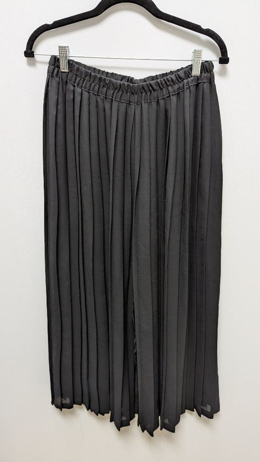 The Limited Black Sheer Wide-Leg Pleated Pants