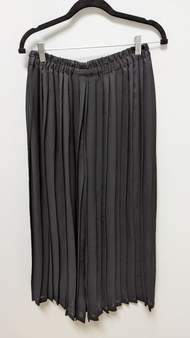 The Limited Black Sheer Wide-Leg Pleated Pants