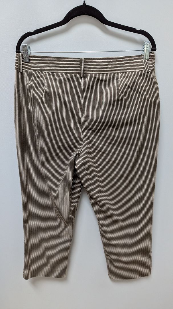 Jones New York Signature Brown/White Striped Stretch Pants