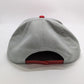 47 Brand Grey/Red "Japan" Baseball Hat
