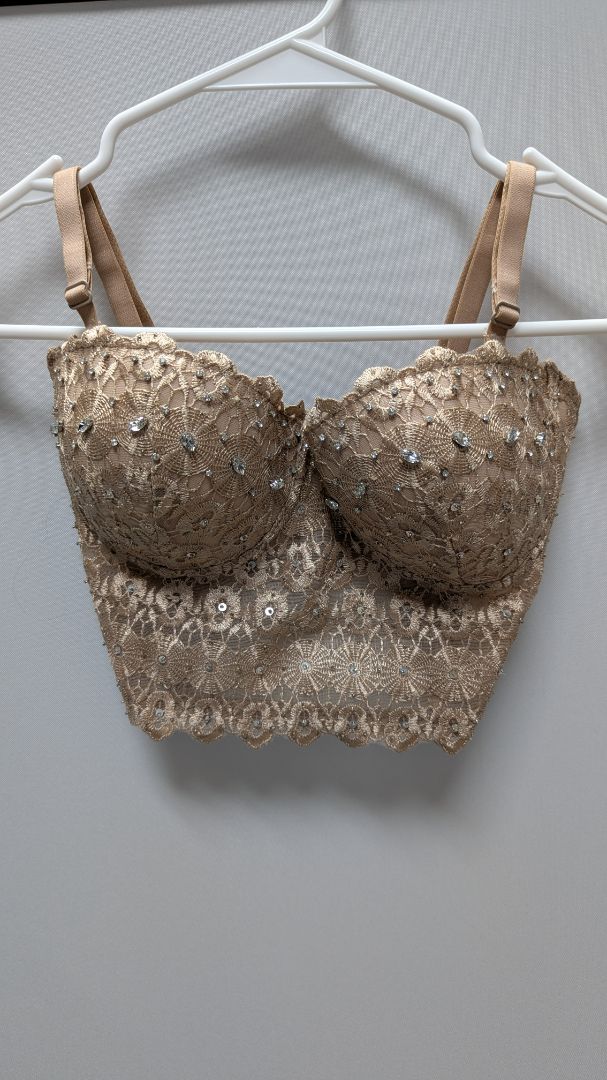 Windsor Beige Embellished Reigning Lace Bustier Bralette