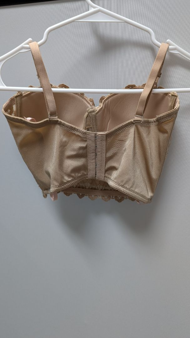 Windsor Beige Embellished Reigning Lace Bustier Bralette