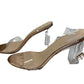 Richealnana Clear Chunky Heels with Ankle Strap