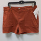 Hudson Washed Rust Orange Utility Shorts